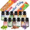 New Model-Essential oils by Engive Top12x5ml 100% Pure