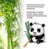 Massager Therapeutic Bamboo Wooden Back Scratcher