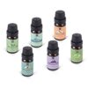Lagunamoon Essential Oils Top 6 Gift Set Pure Essential Oils for Diffuser