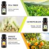 New Model-Essential oils by Engive Top12x5ml 100% Pure