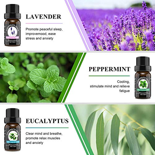 New Model-Essential oils by Engive Top12x5ml 100% Pure