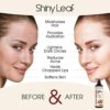 Organic Sweet Almond Oil for Hair and Skin, 100% Pure and Cold-Pressed